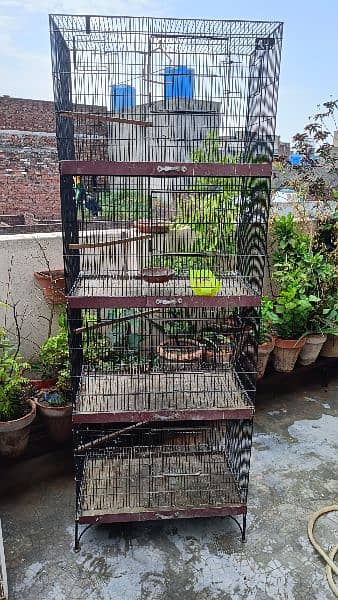 iron Cage Good condition 3