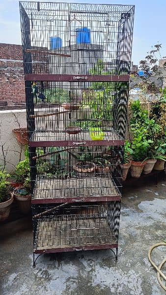 iron Cage Good condition 4