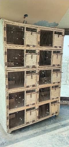 pigeon cage, hen cage, kabak, qabak, pigeon loft, kabootar kuday, kuda