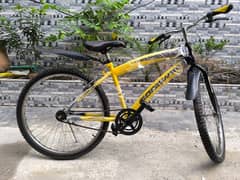 Bicycle for sale