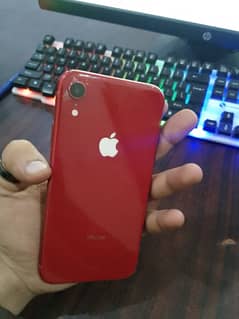 Iphone XR 64Gb