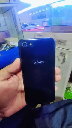 vivo