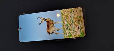 Infinixhot40pro 10/10 16/256 108 mp camera with box and charger