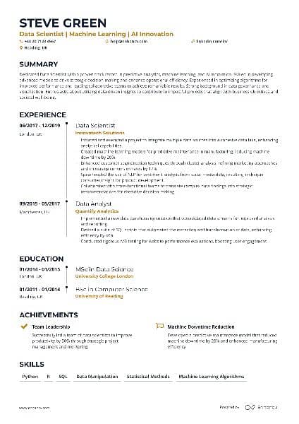 Professional Cv builder 1