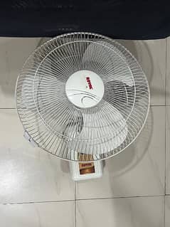 Royal Fans Bracket fan