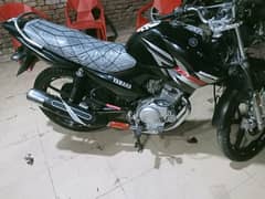 Yamaha ybr g lush condition fresh bike