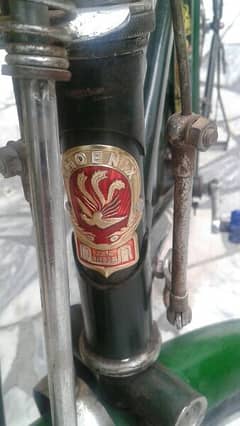 China cycle for sale