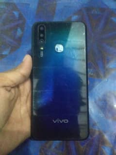 vivo