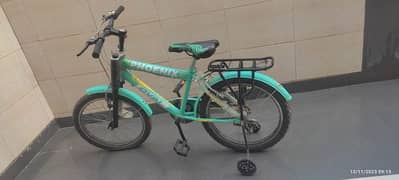 Phoneix Bicycle