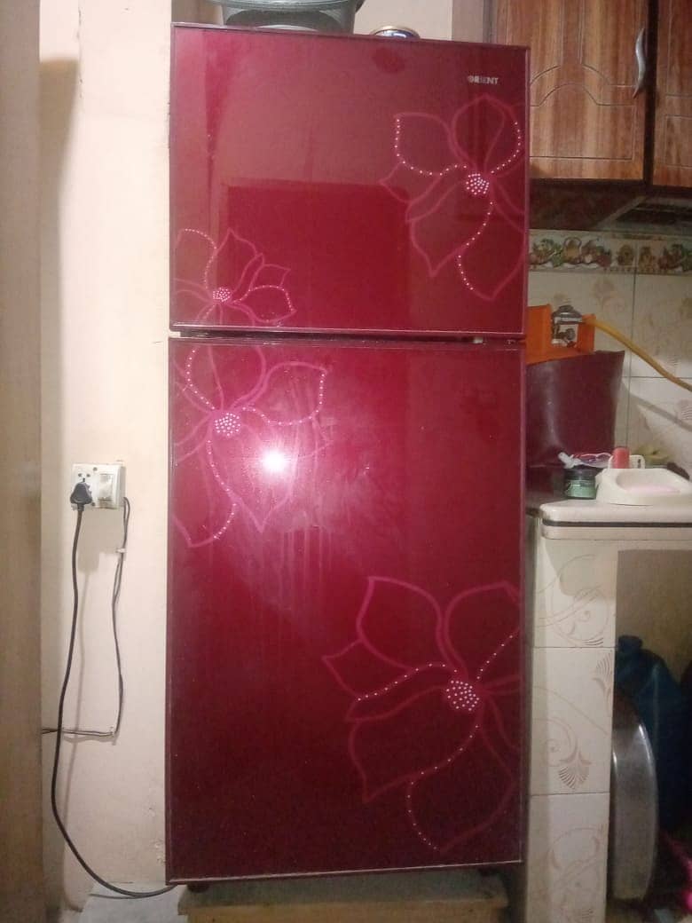 Oreant Fridge 2 door new condition 1