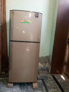 Hair refrigerator medium size