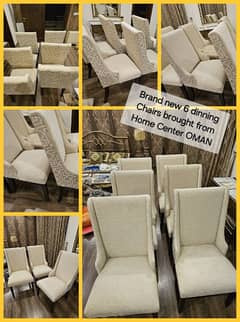 Imported Dinning Chairs - 6 Piece