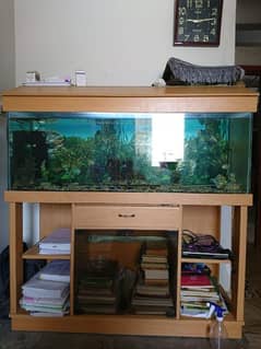 Fish aquarium