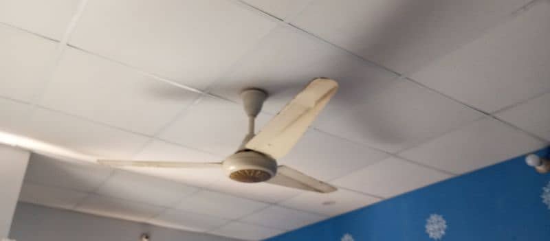 3 Ceiling Fan 1