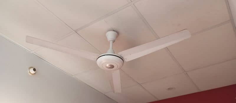 3 Ceiling Fan 2