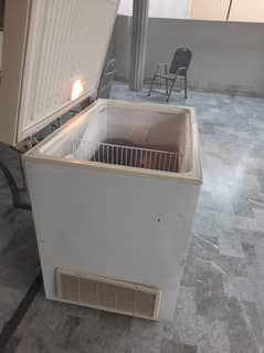 D freezer for sale