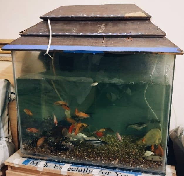 fish aquarium for sale 2