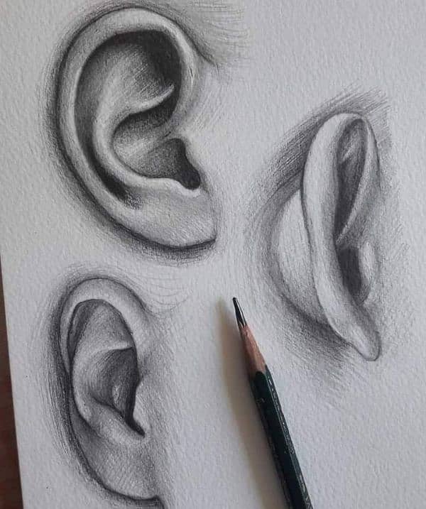 pencil sketch\face sketch\pencil drawing 17