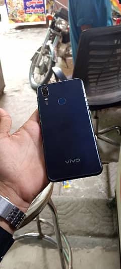 Vivo