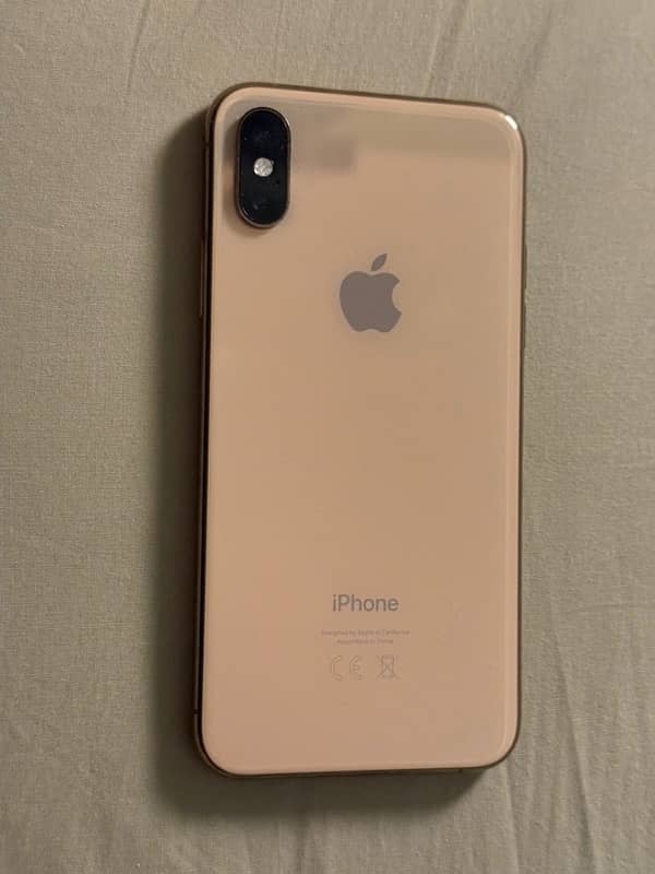 iPhone X 256 pta approved 1