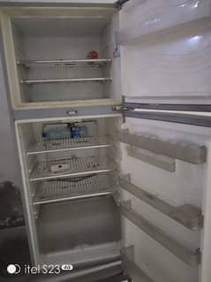 fridge