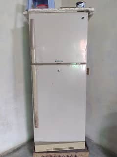 Pel fridge for sale