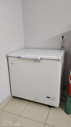 Haier Single Door Deep freezer for sale