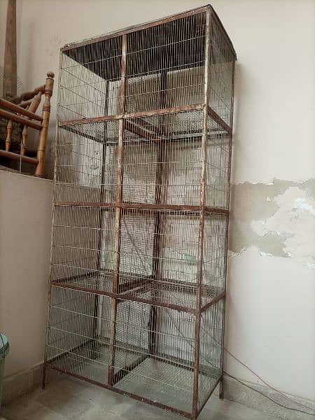 8 portion bird cage 1