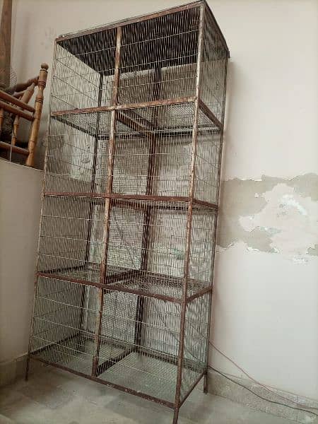 8 portion bird cage 2