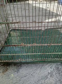 cage for sale