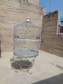 Bird Cage