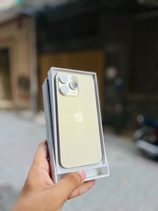 iPhone 13 Pro Max dual sim pta 256gb 5