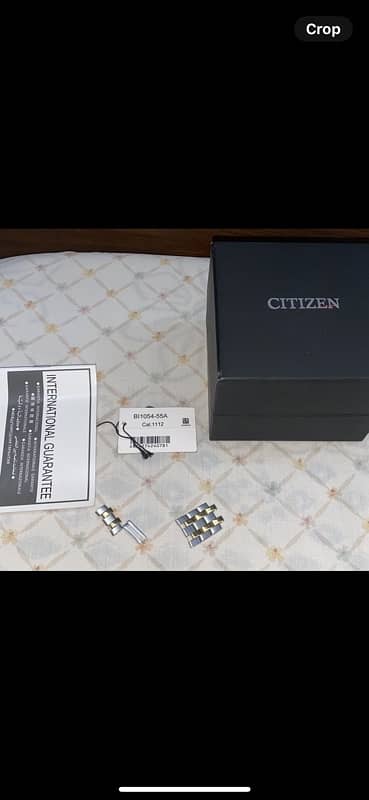 Citizen Watch 1