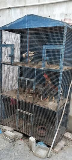 Steel jaali Cage for Sale in reasonable price