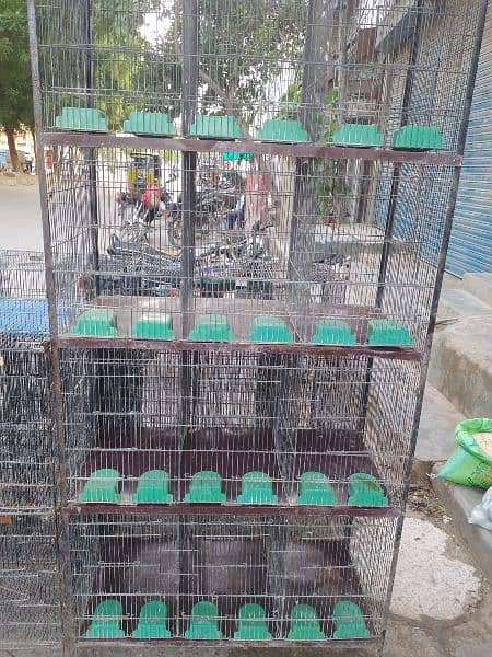 birds cages available 2