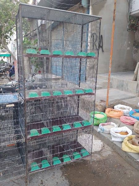 birds cages available 4