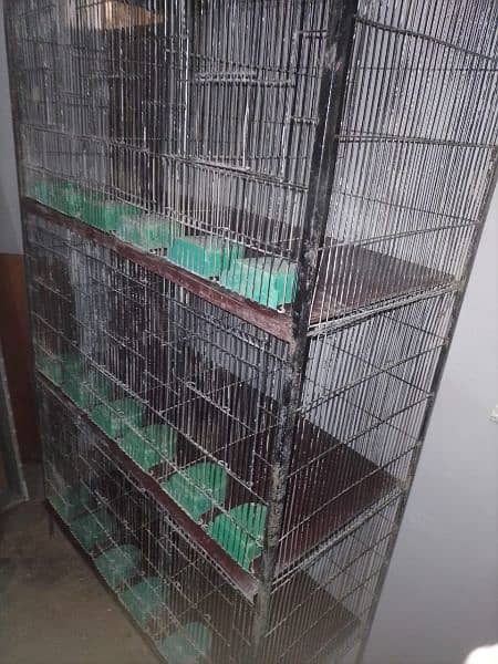 birds cages available 5