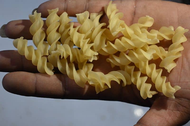 macaroni pasta noodles making machine 1