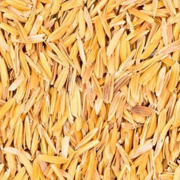 CHAWAL KA CHILKA Rice Husk For Poultry Farm Chicks/ Boilers/ Delivery 0