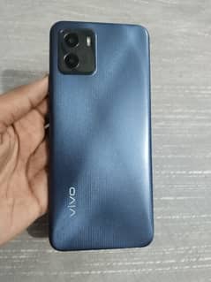 vivo