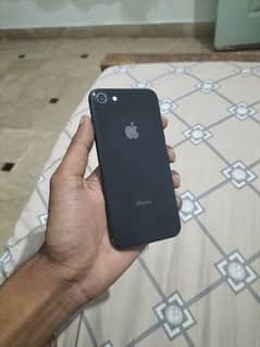 I phone 8 256 gb pta approved