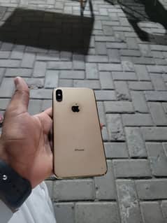 Xs max