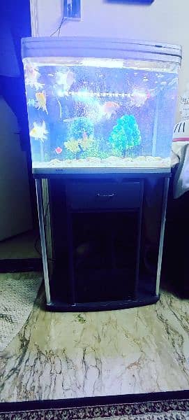 Imported Aquarium 1