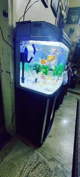 Imported Aquarium 2