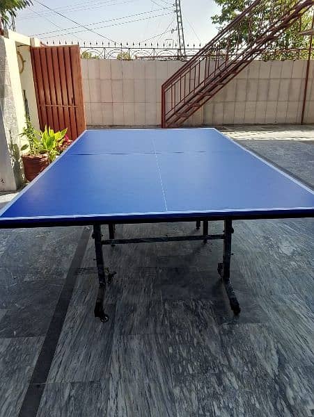 Table tennis table 7