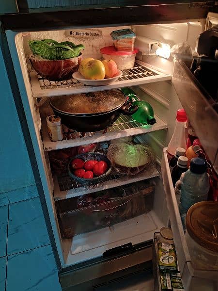 PEL refrigerator for sale 3