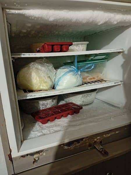 PEL refrigerator for sale 5