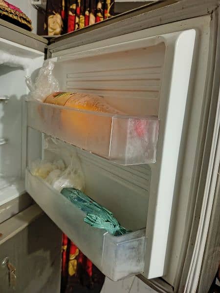 PEL refrigerator for sale 6