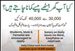 Assignment work/online job's / online work home/make money