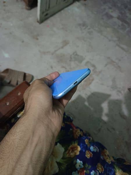 iphone XR 3